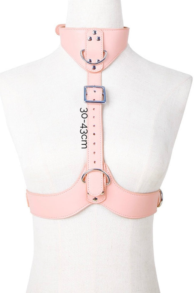 Pink Bondage Restraint