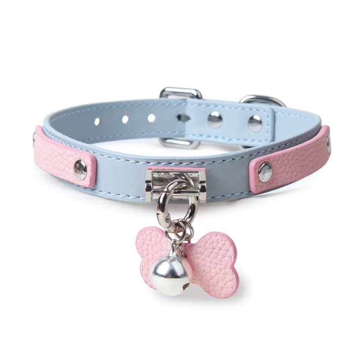 Blue Pink Label Collar