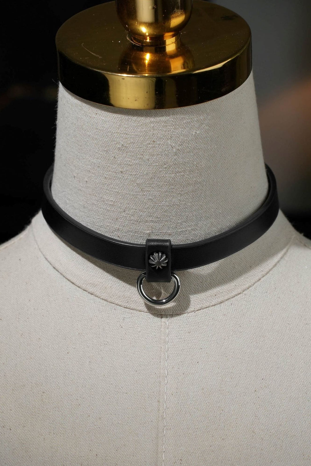 Simple Dainty with D ring Choker