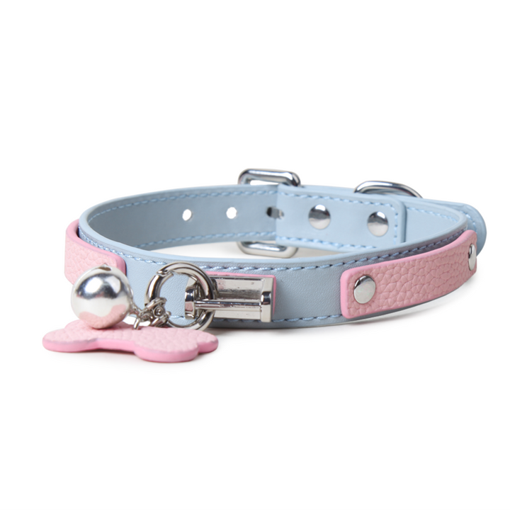 Blue Pink Label Collar