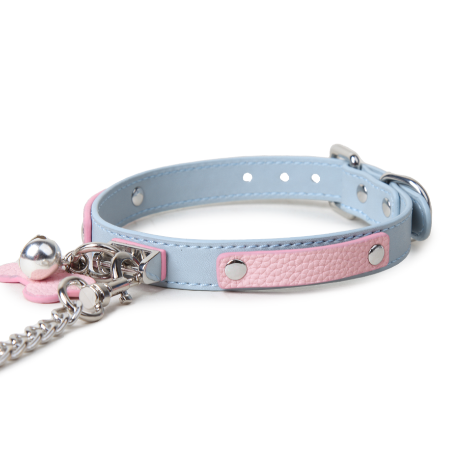 Blue Pink Label Collar