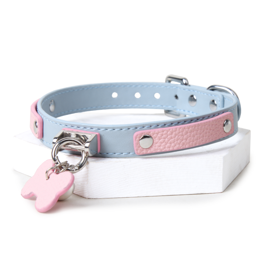 Blue Pink Label Collar