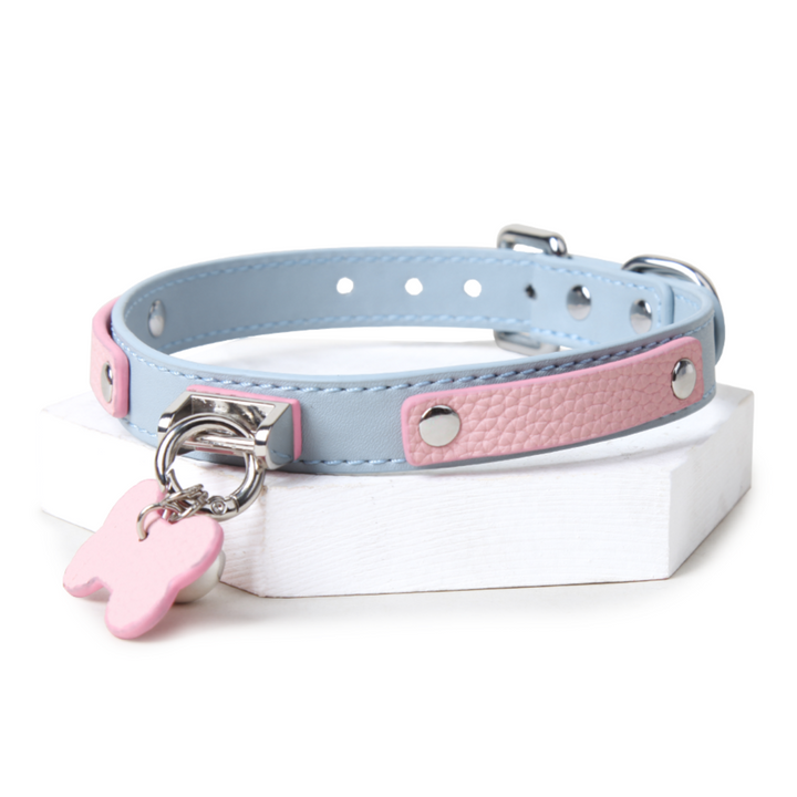 Blue Pink Label Collar