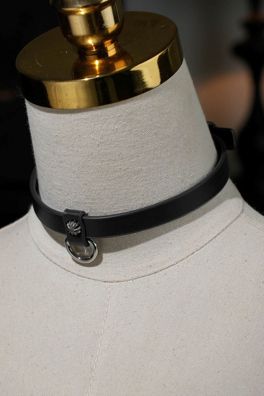Simple Dainty with D ring Choker