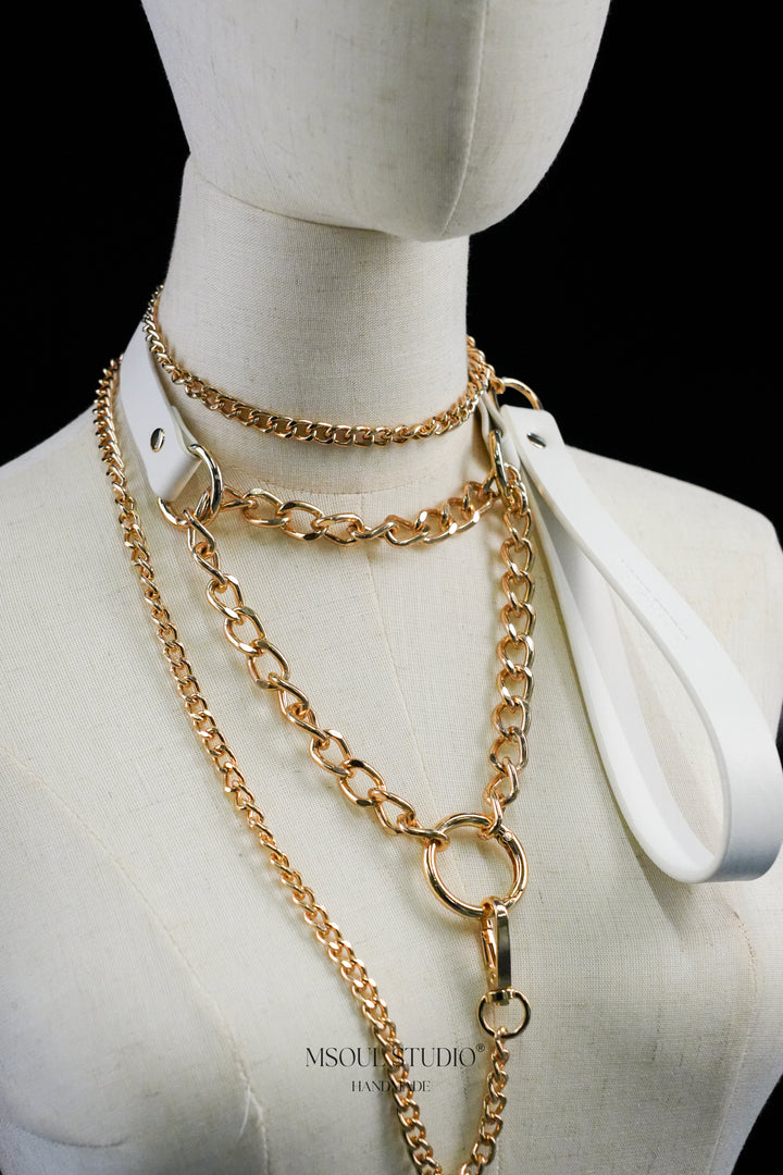 Lock Collar with O-ring