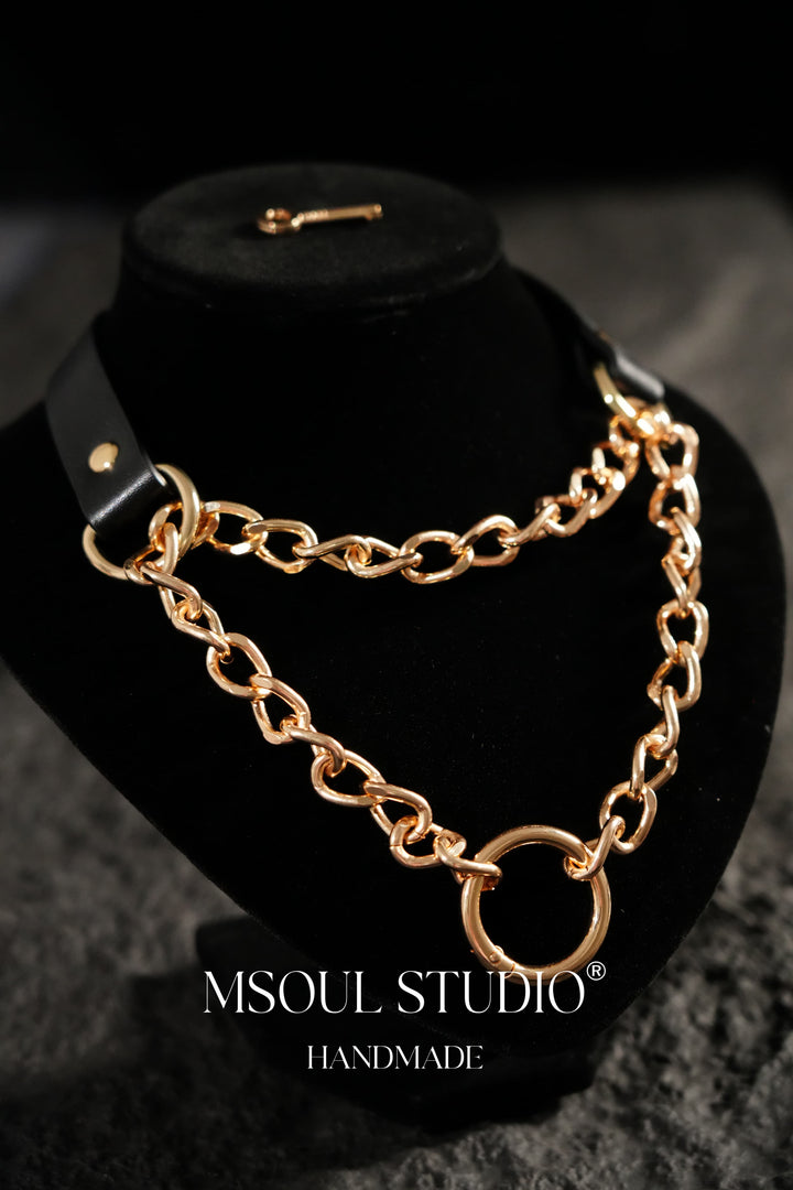 Lock Collar with O-ring