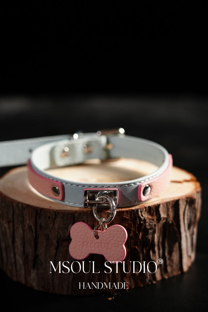 Blue Pink Label Collar