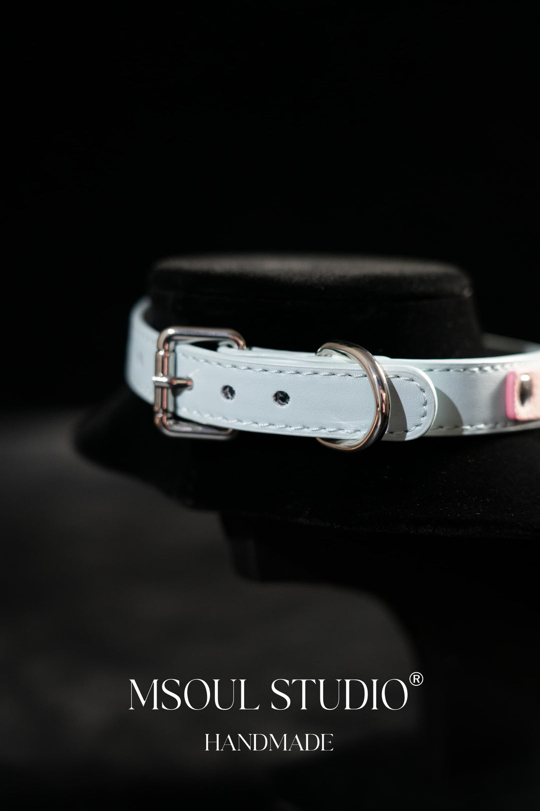 Blue Pink Label Collar