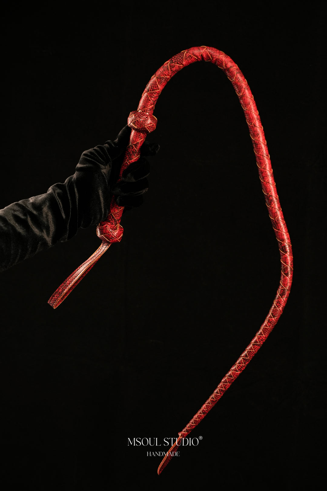 The Serpentine Whip