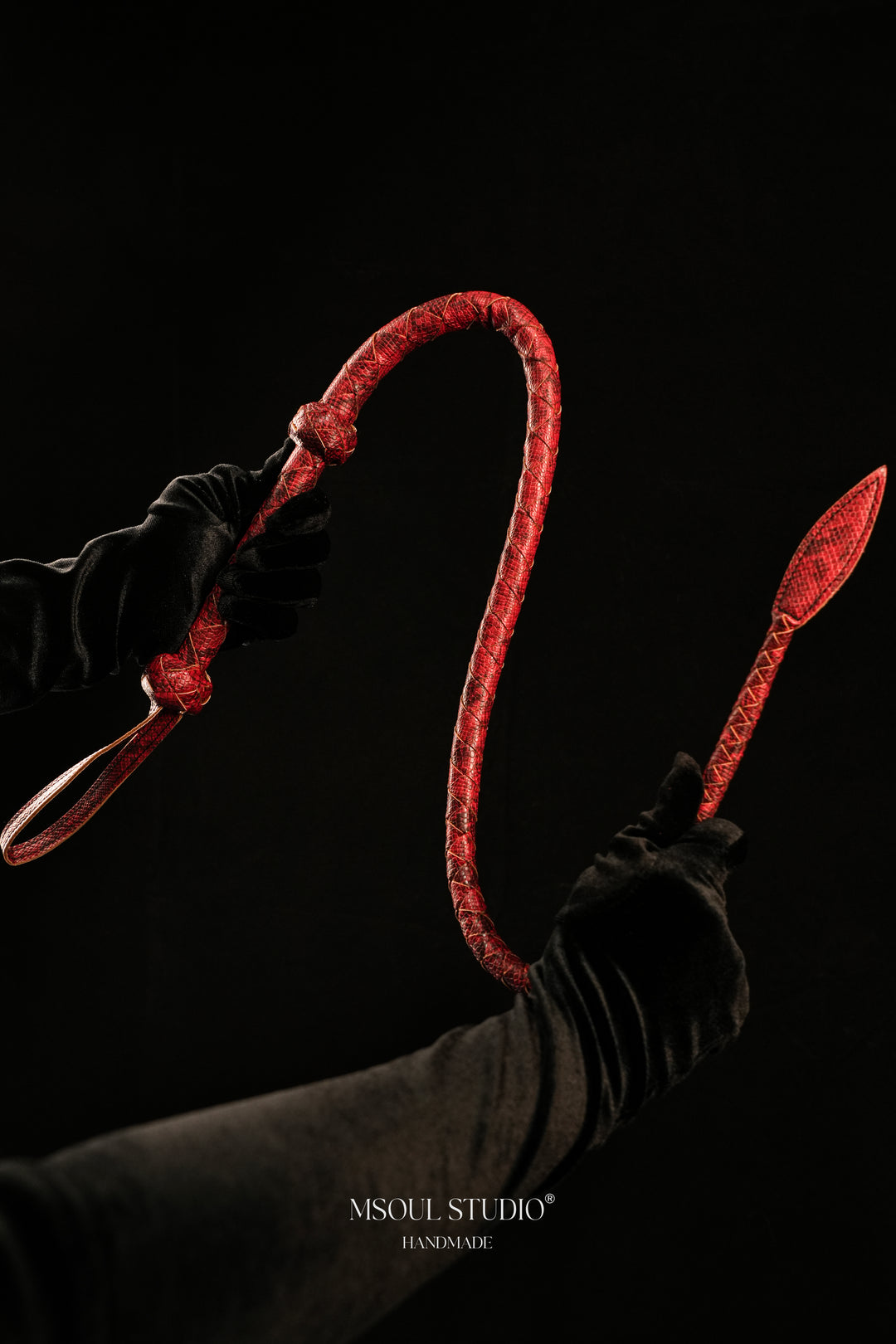 The Serpentine Whip