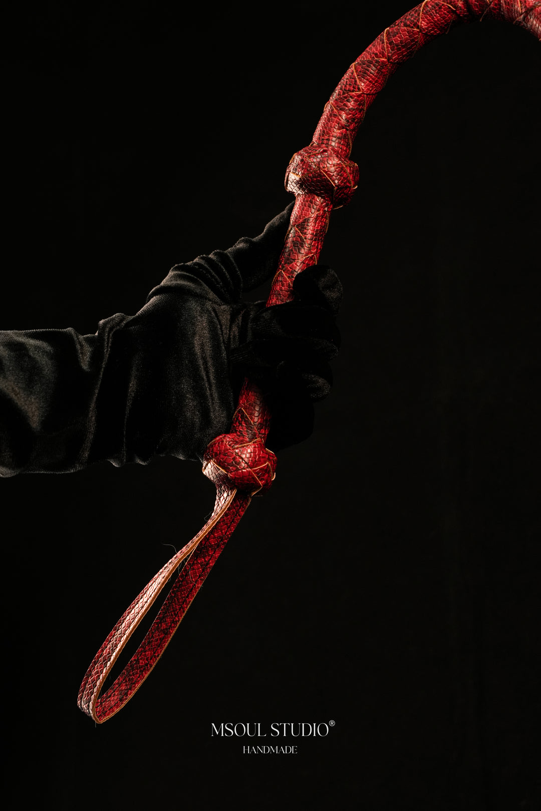 The Serpentine Whip