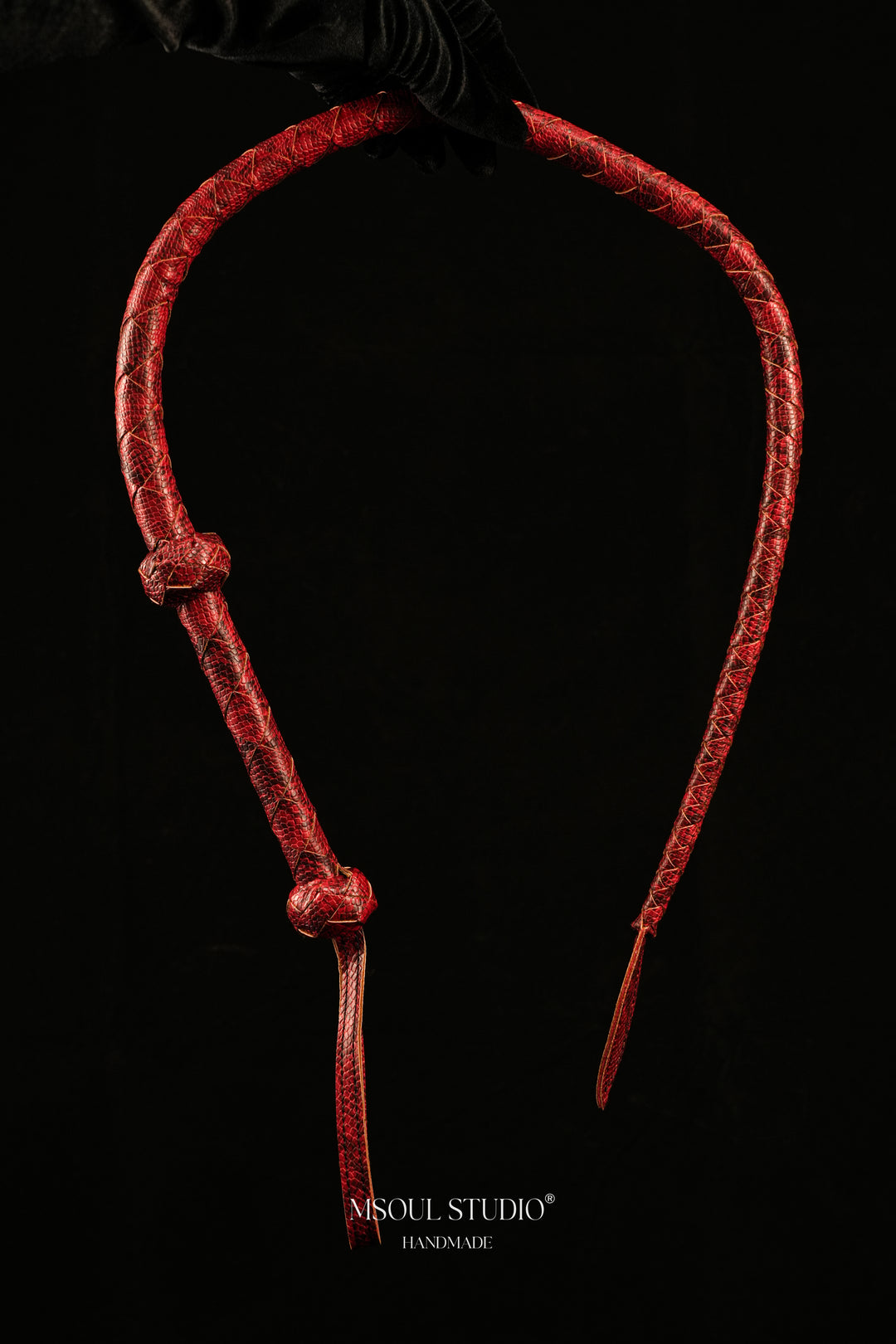 The Serpentine Whip