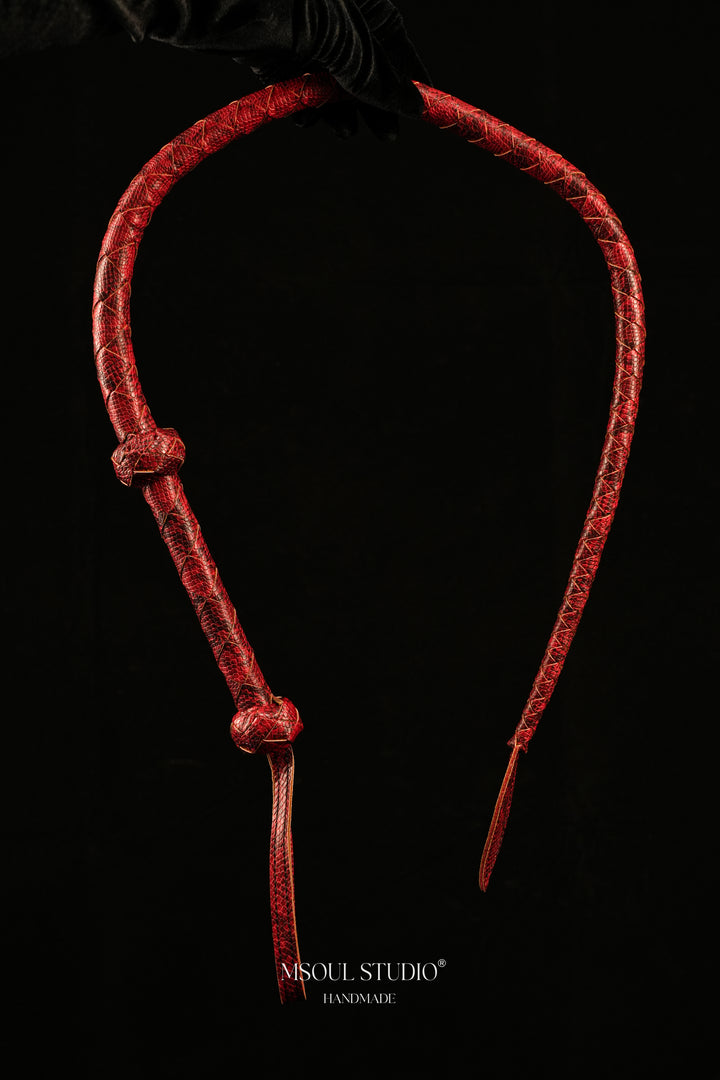 The Serpentine Whip