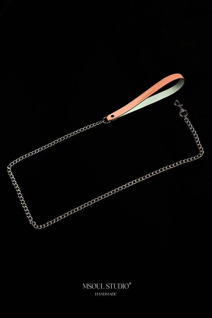 Silver-tone chain leash laid in a loop with its pink and pale blue handle