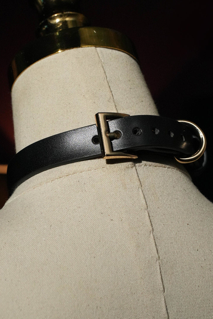 Black Choker with Gold O-Ring